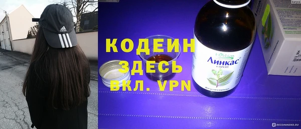 шишки Медвежьегорск