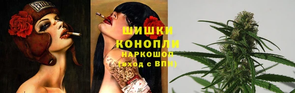 стаф Медногорск