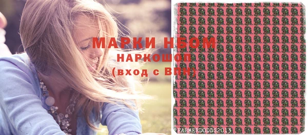 шишки Медвежьегорск