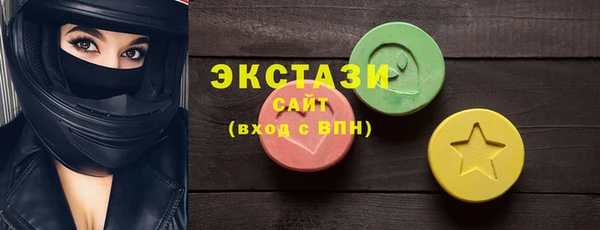 стаф Медногорск