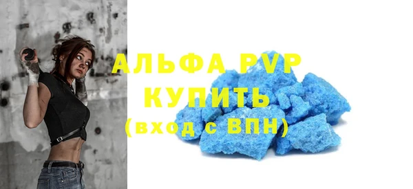 шишки Медвежьегорск