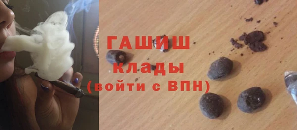 шишки Медвежьегорск