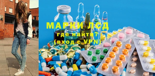 шишки Медвежьегорск
