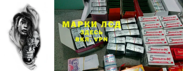стаф Медногорск