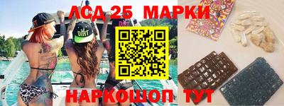 гашик Кандалакша