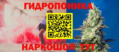 гашик Кандалакша
