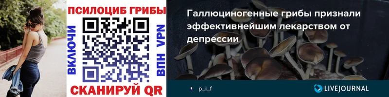 Галлюциногенные грибы ЛСД Тихвин