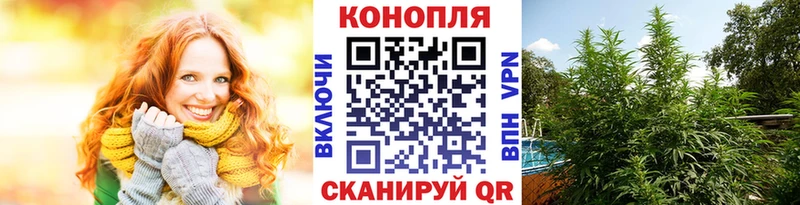 Марихуана сатива  мега ТОР  Тихвин  сколько стоит 